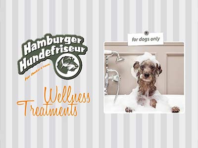 Portfolio Bild für Projekt Hamburger Hundefriseur