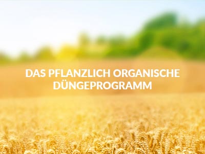 Portfolio Bild für Projekt Organic Green